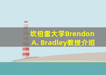 坎伯雷大学Brendon A. Bradley教授介绍